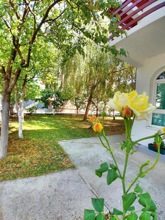 Forest Apartment Nikšić Kültér fotó